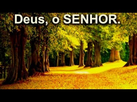 117. O SENHOR SALVA A TODO O PECADOR