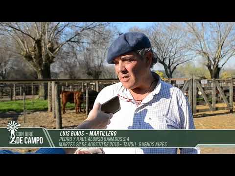 Luis Biaus - Pedro y Raúl Alonso Ganados S.A - Martes 28 de agosto de 2018 - Tandil