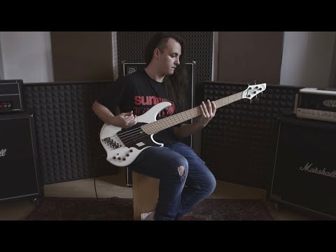 ALOGON - Omen II: Resonance (Bass Playthrough)