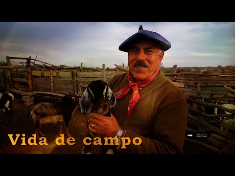 219 Vive solo en medio del campo (San Luis) - Estancias y Tradiciones