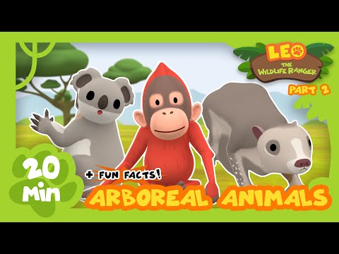 Arboreal Animals (Part 2/3) - Fun & Educative Animals Stories for Kids | Leo the Wildlife Ranger