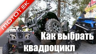 Лучший квадроцикл для охоты и рыбалки рейтинг