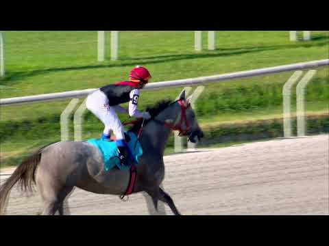 220102 c07 MALEVOLA (BRZ)