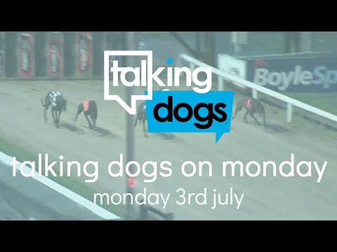 Talking Dogs on Monday 3rd July 2023