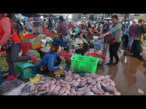 Cambodia Fish Market Scene - The Second Site Distribute Alive Fish, Day Fish & Seafood in Phnom Penh