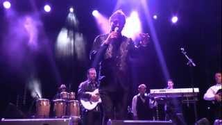 Chico & les Gypsies 2012 - Mounin - Bodega