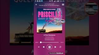 Priscilla Queen of the Desert - A Fine Romance
