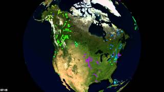 Bird migrations in Movebank: Americas