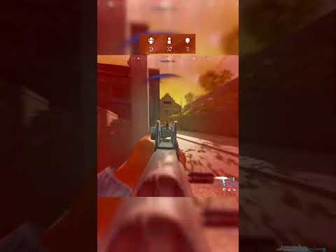 Shouldnt be on the Island 🥀