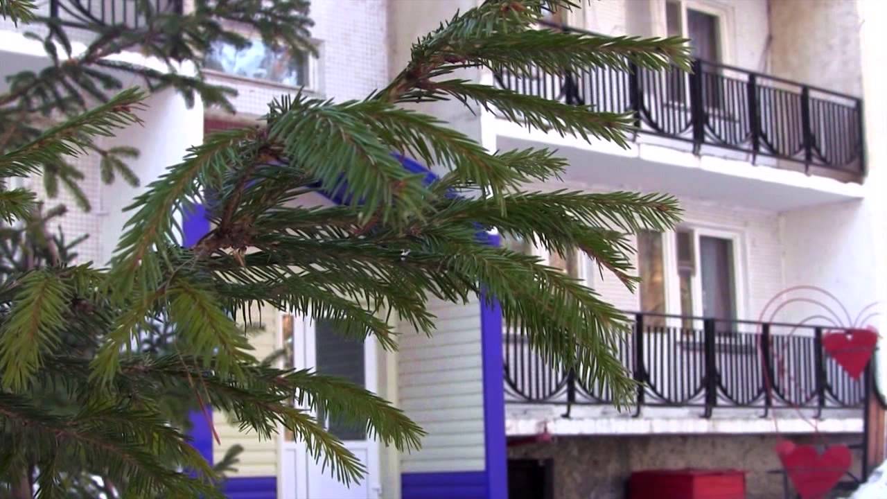 Giới thiệu - Russian - 2015