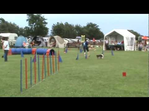 Hattstedt SO J 3 medium