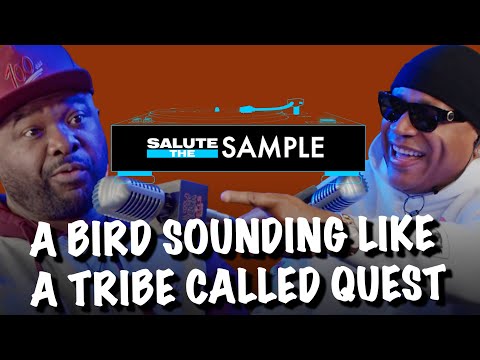 A Bird Sounding Like A Tribe Called Quest | Salute The Sample | Rock The Bells