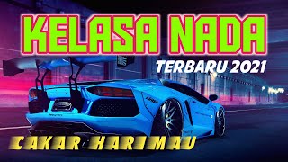 Download lagu KELASA NADA 2021 KENCENG ABIS !! SENSASI BARU mp3 Download lagu KELASA NADA 2021 KENCENG ABIS !! SENSASI BARU mp3