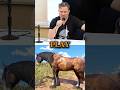 Why Roger Clark had to re-record the horse dialogue in RDR2