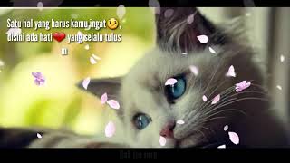 Download lagu Video gak iso turu (story wa) mp3
