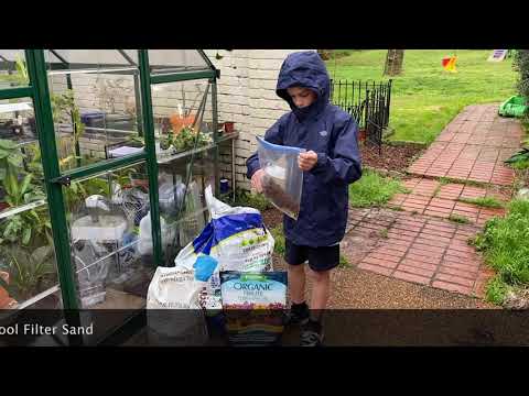 How To Grow Venus Fly Traps from Seed 🌱🌱🌱