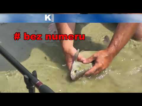 Wybieramy najlepszy Film Marfisha. Klap pupka