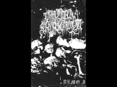 Vmbra Spiritvvm - Demo I (DEMO STREAM)