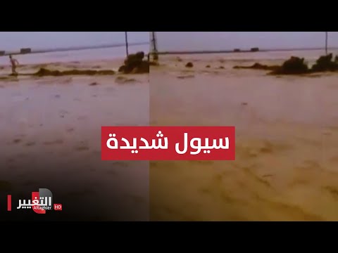 شاهد بالفيديو.. سيول شديدة تجرف الاغنام غربي الموصل