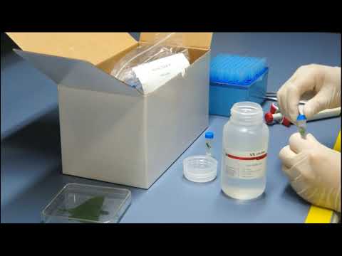 [LifeReal] GeneReady BSH-2 Biological Sample Preparation System