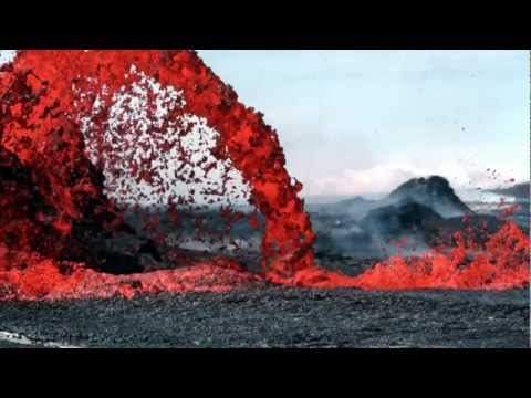 Die Evolution der Kommunikation