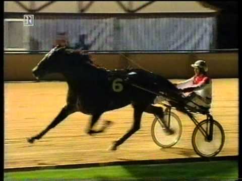 Großer Preis der UET 1995 - Teil 1