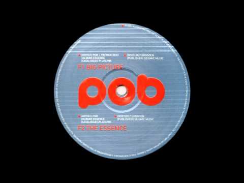 Pob & Patrick Reid - Big Picture