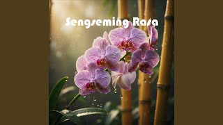 Download lagu Sengseming Rasa mp3