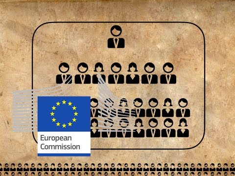 The European Commission explained