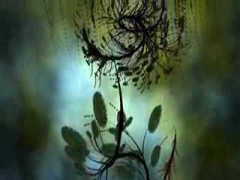 Sever The Reality - Synth in My Heart