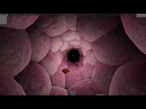 Roblox Vore Games Smotret Onlajn Na Hah Life - roblox husk vore fixed oral anal and cock vore with download