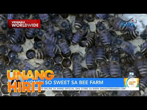 World Bee Farm Day with Queen Bee?! Unang Hirit
