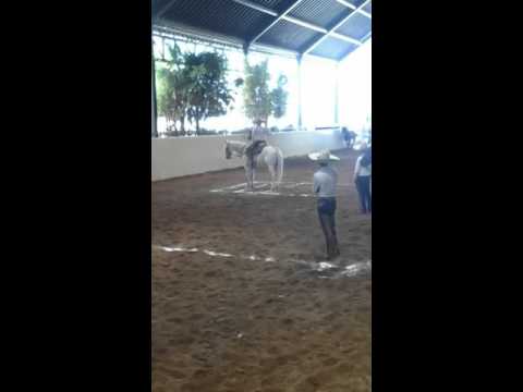 Piales  del torneo  del 1,000,000 Rancho  el  pitayo