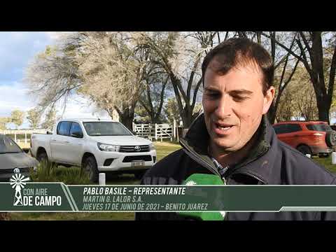 Pablo Basile - Resumen del remate de Martín G. Lalor - jueves 17 de junio de 2021 - Benito Juárez