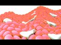 Samsung Logo Balls In G Major 790 AVS Version Instructions In Description