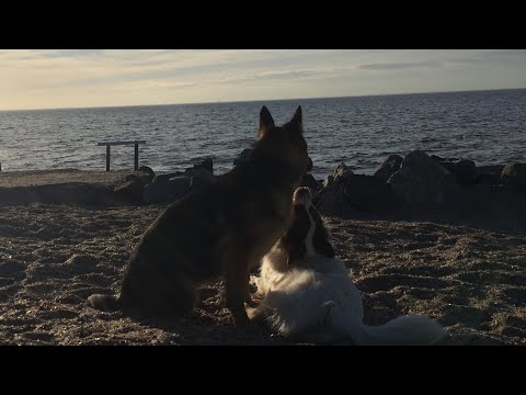 Senna_en_Jayda ❤️ (Repost)