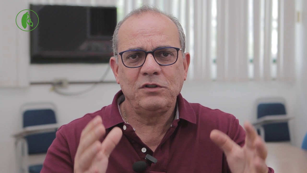 Dicas Mais Soja: Fungicidas multissítios