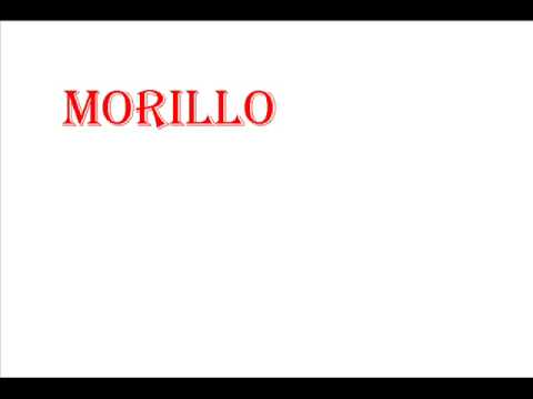 gato sato ft morillo- yal