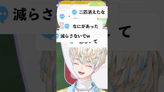 【ぽこ あ ポケモン】自分の言い間違いにツボる緋八　#shorts  #緋八マナ #緋八マナ切り抜き