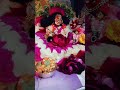 क्यों घबराऊ मैं Krishna Radhakrishna Vrindavan Harekrishna Jaishreekrishna