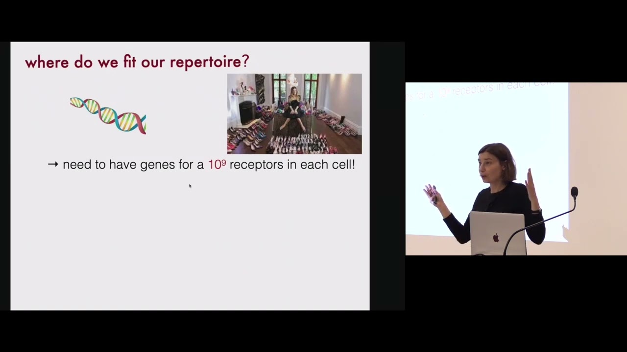 Aleksandra Walczak - How personalised is our immune repertoire?