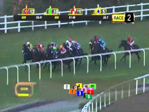 Black Tristar（ブラックトライスター） 20150227 Race2 Initiation 1400(Turf SC)