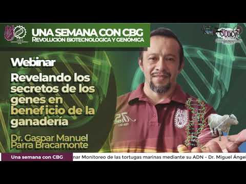 , title : 'Revelando los secretos de los genes en beneficio de la ganadería   Dr  Gaspar Manuel Parra'