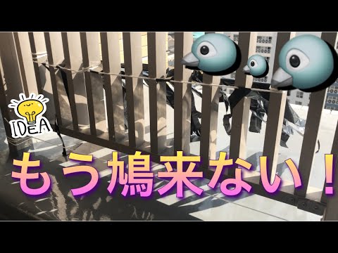 フクロウのバルコニー、ハトを怖がらせるトリックのヒント、アドバイスのアイデア