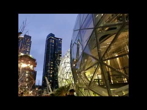 Self-guided Tour of Amazon's Understory (Part 1 of 2)