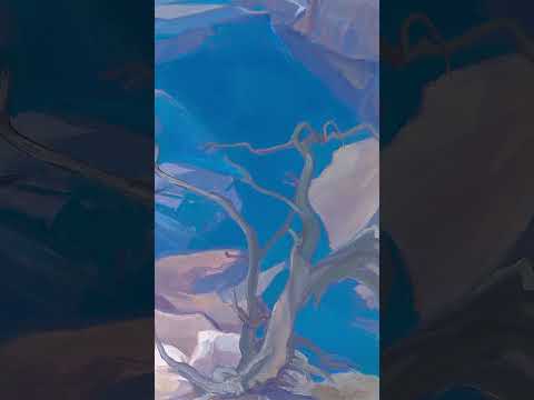 video-Kathryn Stedham - Raven Tree, Grand Canyon (PLV91920D-0523-002)