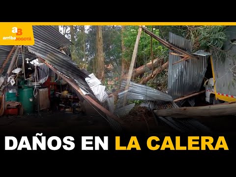 Impresionante caída de un árbol en La Calera dejó daños y gran preocupación | CityTv | ArribaBogotá