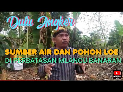 SUMBER AIR DAN POHON LOE DI PERBATASAN DS MLANCU DAN DS BANARAN
