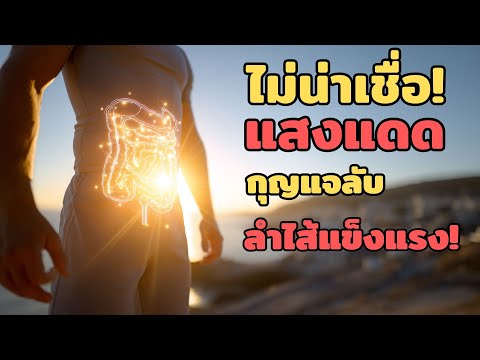 แสงแดด ไม่ใช่แค่วิตามินดี: ไขความลับ "ลำไส้" ทำงานด้วยแสง! | สุขภาพสนทนา Podcast