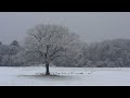 Morning Walk in the Snow to Calm Your Mind | Music Playlist